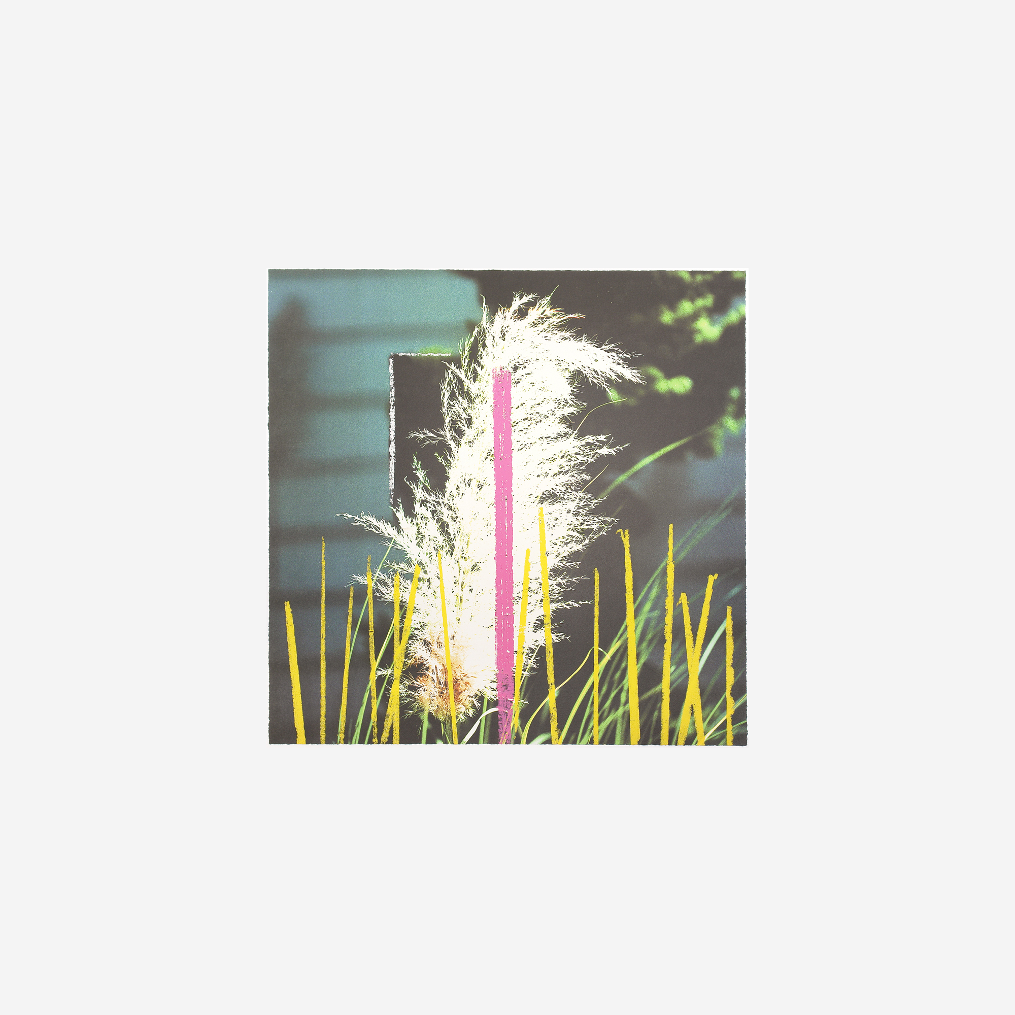 2623 Third Street, Santa Monica